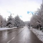 How much does it cost to visit Ifrane?