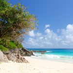 What to Expect in Seychelles
