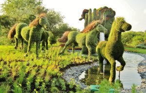 13. Mother Earth, Mosaïcultures Internationales - Montreal, Canada
