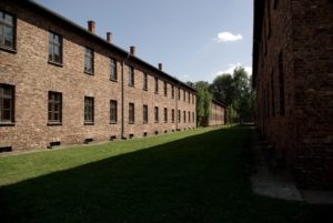 17. Auschwitz and Birkenau, Oswiecim (Poland)
