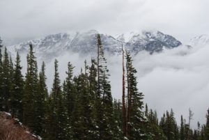 North America - Trail Ridge Road, 3.000 meters