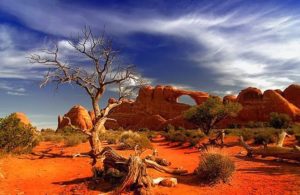 10. Great Victoria Desert - 424.400 km²