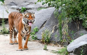 10. Tierpark Berlin - 160 hectares