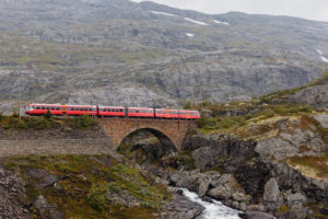 14. Bergen Railway (Norway)