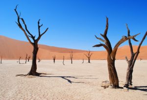 18. Namib Desert - 80.900 km²