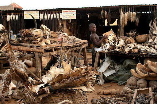 2. Akodessewa - the Voodoo Fetish Market, Togo