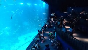 4. Marine Life Park, Singapore
