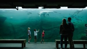 7. Columbus Zoo and Aquarium - 234 hectares