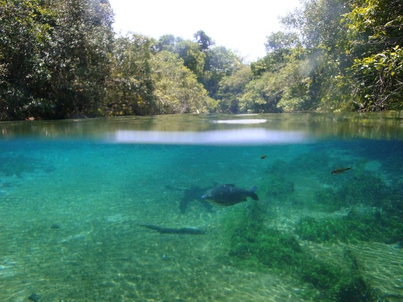 The 10 Clearest Waters In The World - Thebitetour.com