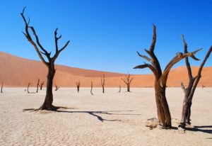 8. Namib Desert - Namibia, Angola and South African Republic
