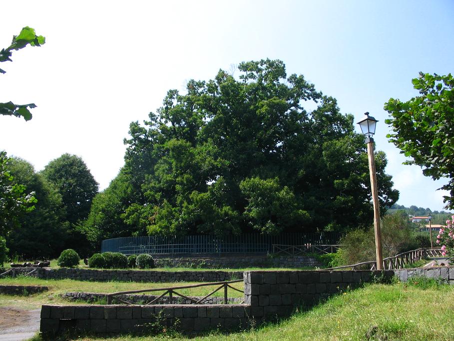 9. Chestnut of the 100 Horses, over 3000 years old