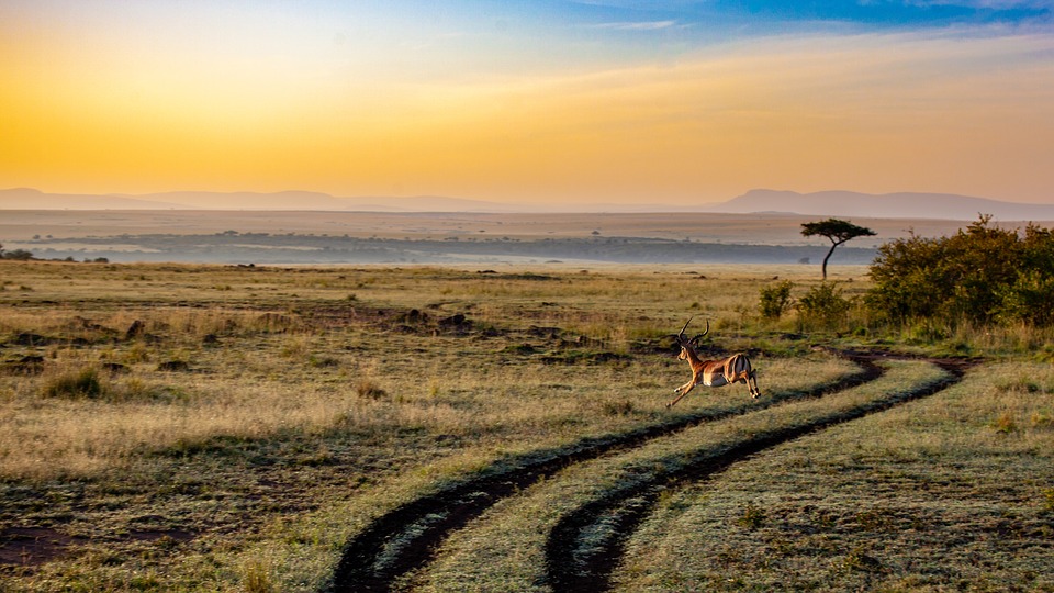 When is the best time to go to Kenya