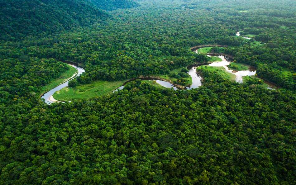 1. Amazon Rainforest