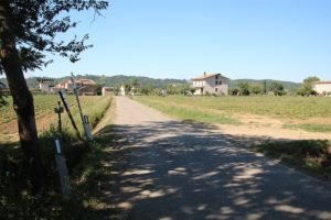 1. Via Di Francesco, Umbria