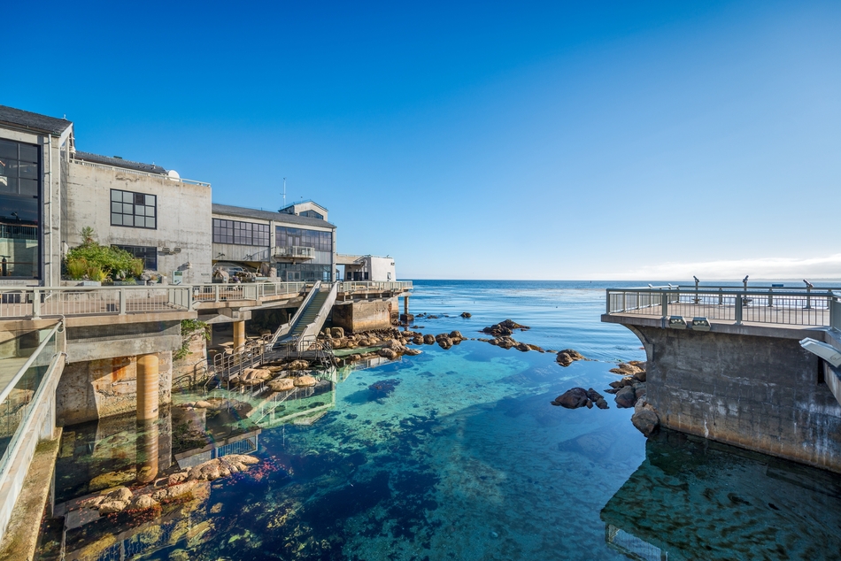 10. Monterey Bay Aquarium