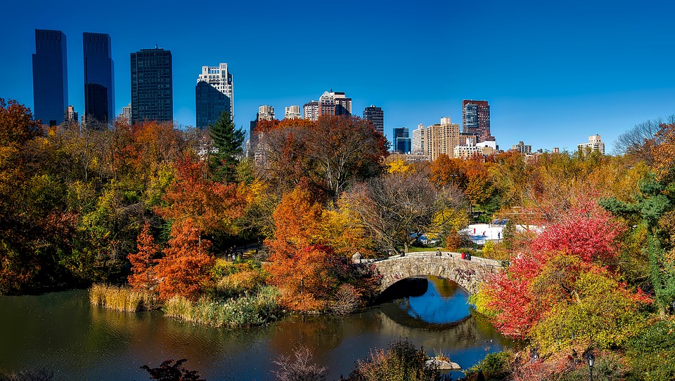 11. Central Park - New York, USA