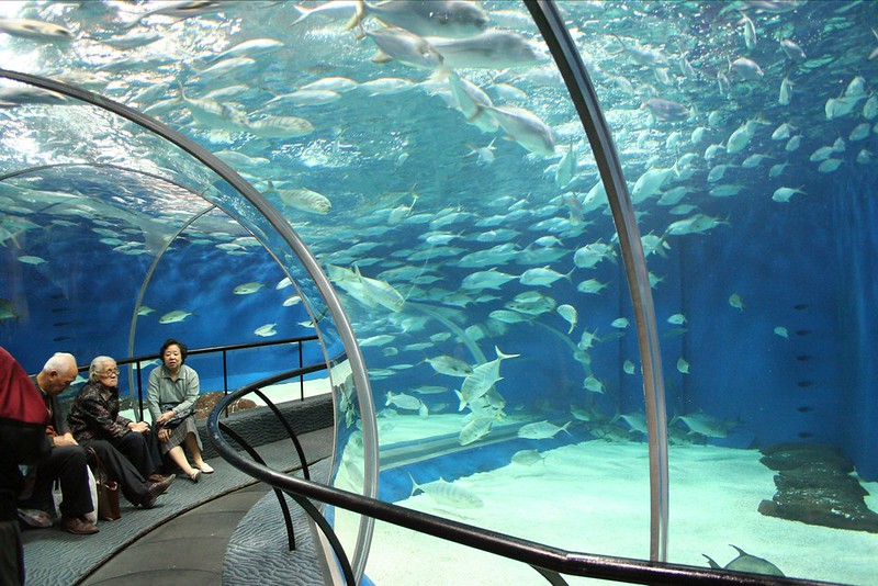 11. Ocean Aquarium