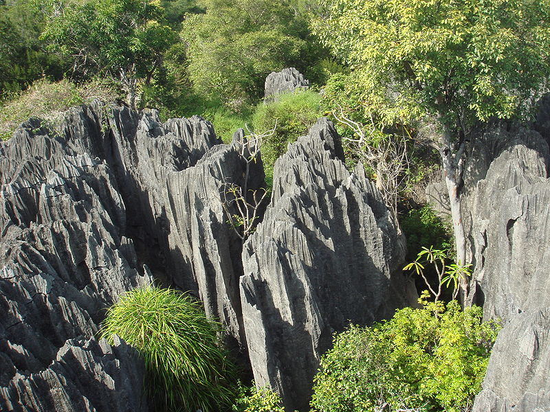 11. Tsingy Integral Nature Reserve, Madagascar
