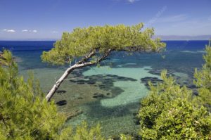 13. Port-Cros National Park, France