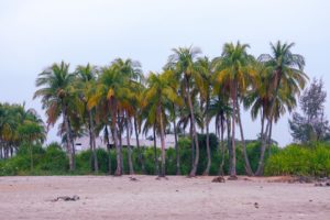 13. St. Martin