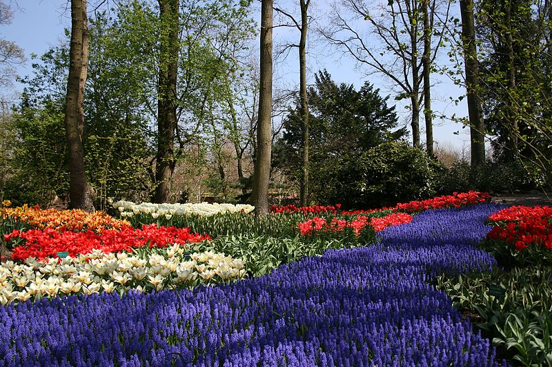 14. Keukenhof - Lisse, Netherlands