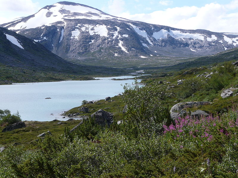 14. Rago National Park, Norway