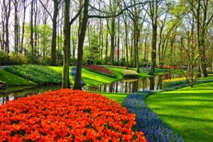 15. Keukenhof Botanical Park - The Netherlands