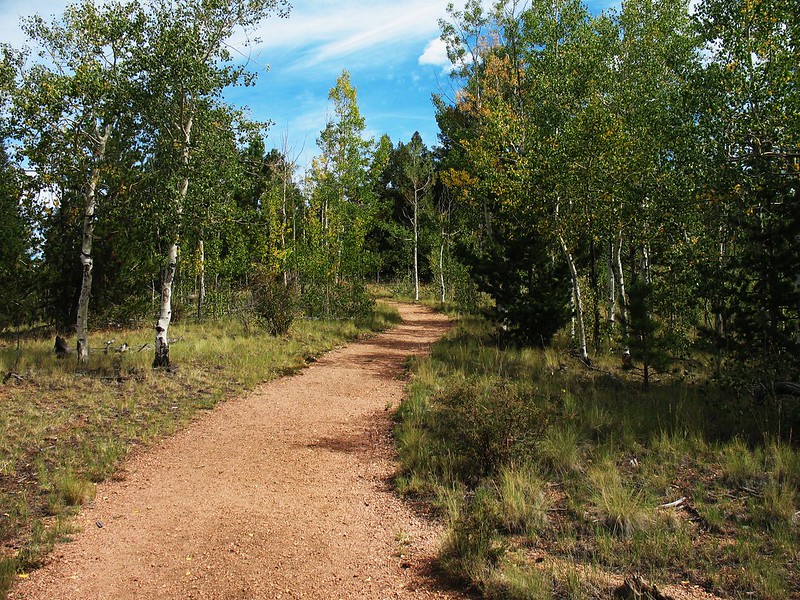 15. Mueller State Park