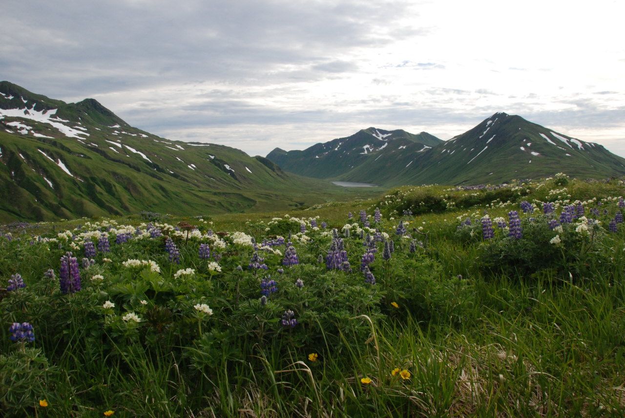 2. Attu Island, USA