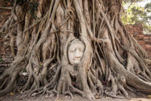 2. Buddha's Head in Ayutthaya, Thailand