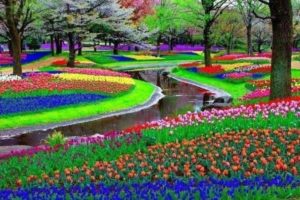 3. Keukenhof Garden - Lisse, The Netherlands