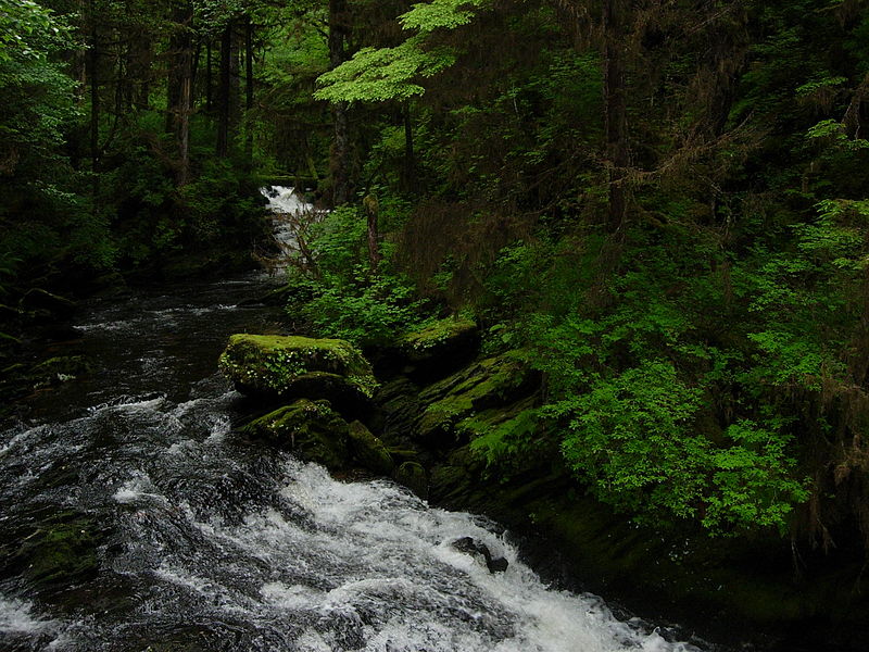 4. Tongass National Forest