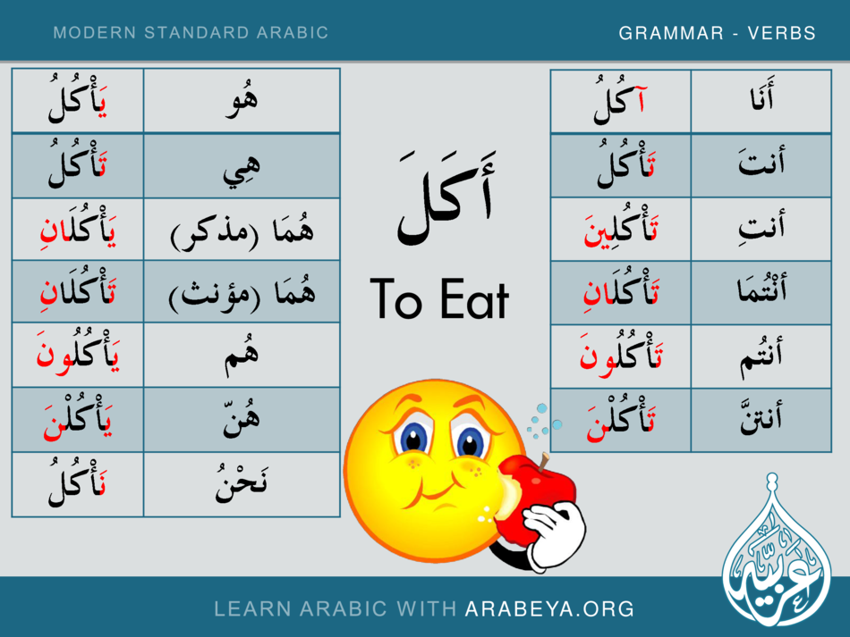 6. Modern Standard Arabic