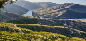 7. Douro Valley - Portugal