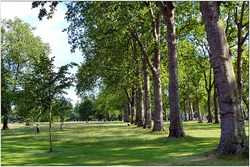 7. Hyde Park - London, UK