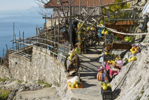 7. Path of the Lemons, Campania