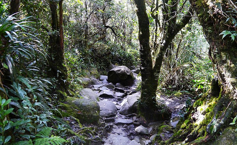 8. Kinabalu National Park