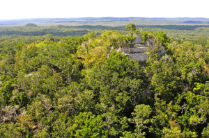 8. La Danta