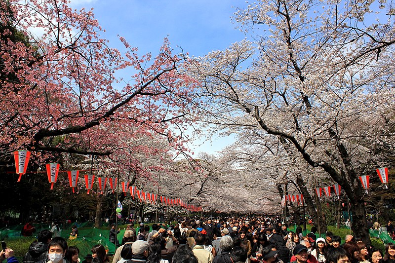 9. Ueno Park - Tokyo, Japan