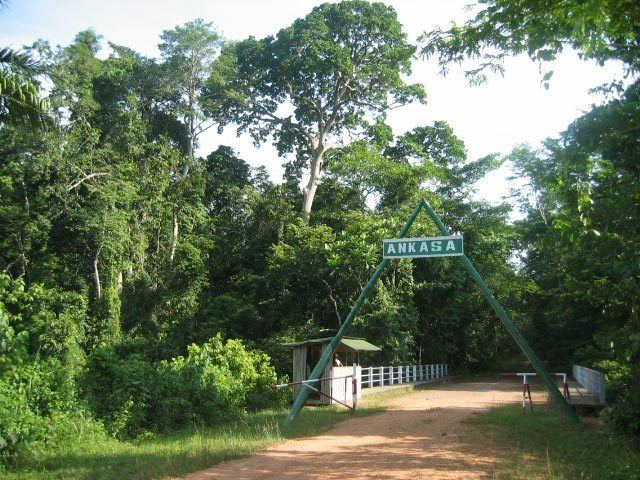 Ankasa Conservation Area