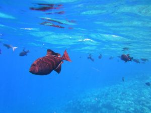 Bismarck Sea, Papua New Guinea