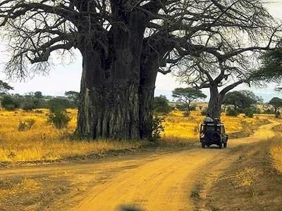 Caprivi Game Park