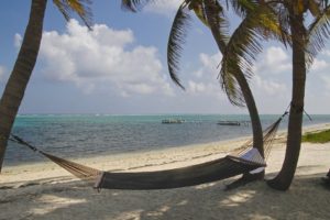 Cayman