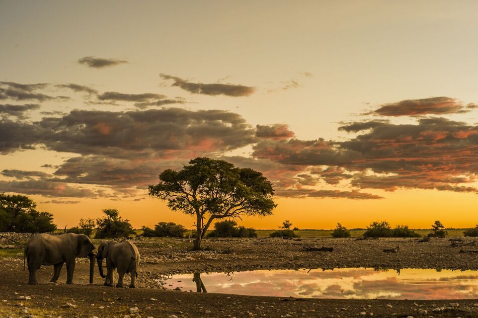 Etosha National Park