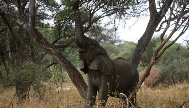 Kamuku National Park