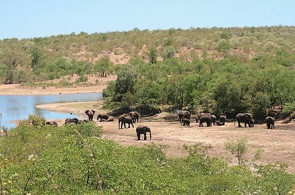 Limpopo National Park - TheBiteTour.com