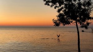 Michigan-Huron