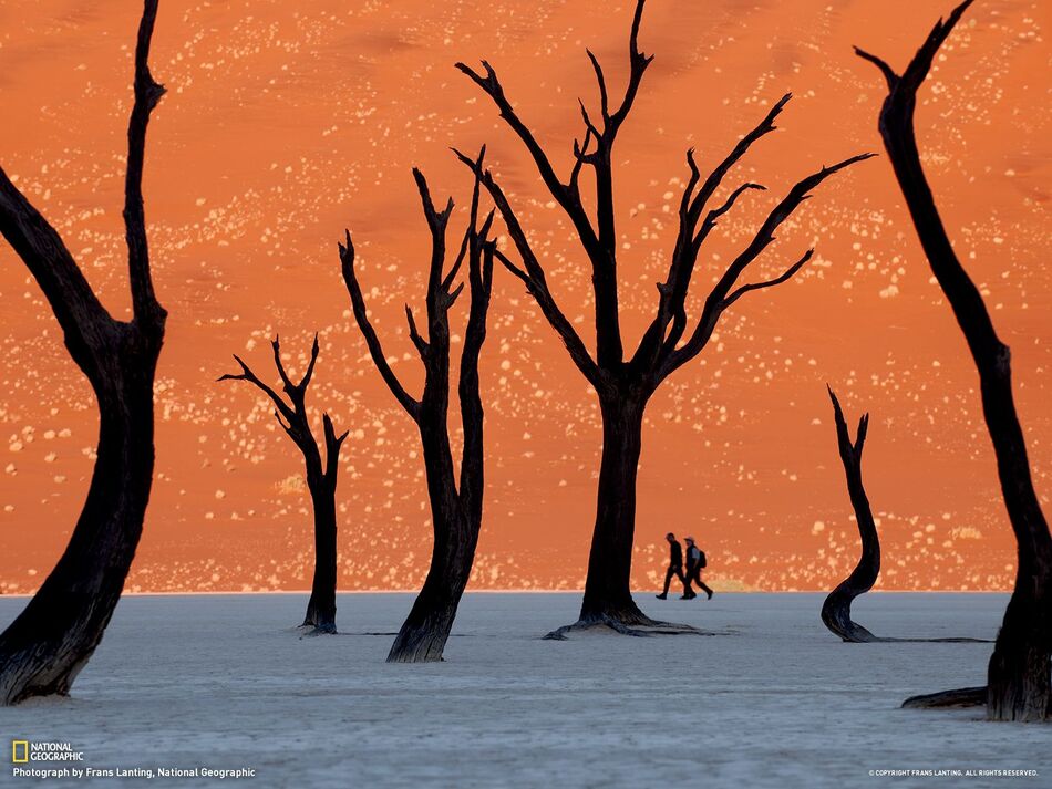 Namib-Naukluft National Park