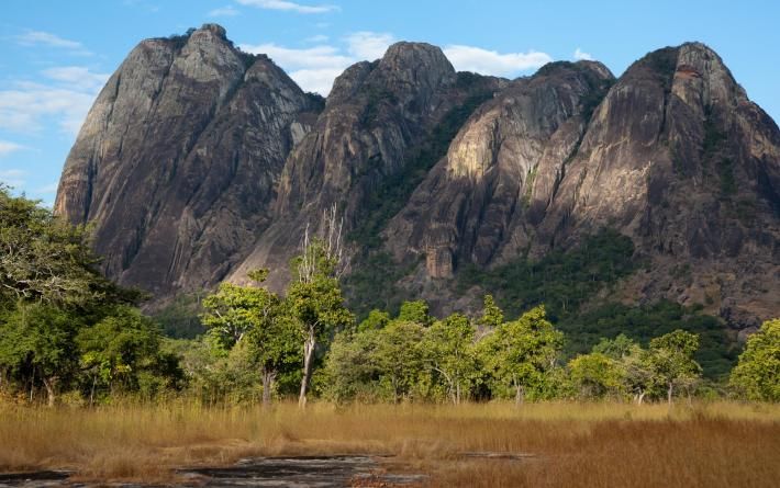 Niassa Reserve