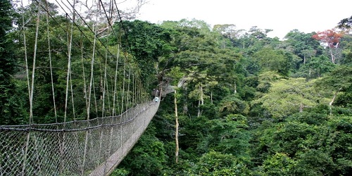 Okomu Forest Reserve